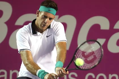 Juan Martin del Potro en accion