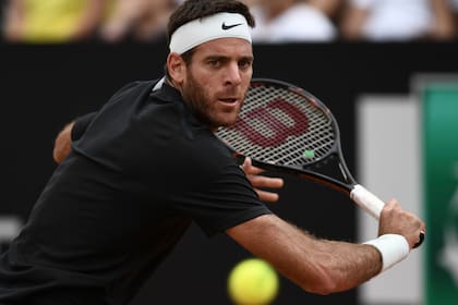 Juan Martín del Potro, en busca del número 3 del mundo