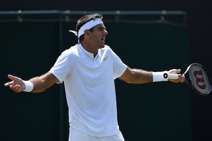 Juan Martin Del Potro le ganó a Peter Gojowczyk