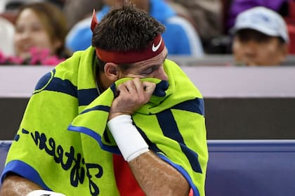 Juan Martín Del Potro sufrió una lesión en Queen´s