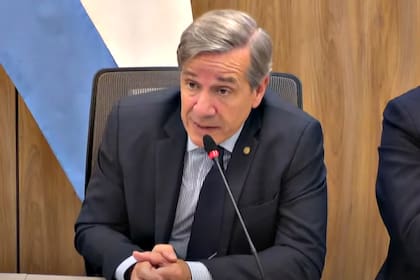 Juan Martín Paleo, al exponer en ña Comisión de Defensa de la Cámara de Diputados, en septiembre de 2024
