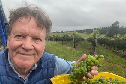 Juan Navarro Torre es pionero en vitivinicultura en Calamuchita