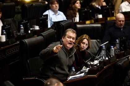 Juan Pablo Arenaza y Pilar Ramírez durante el debate por la desregulación de la VTV y la ley Hojarasca