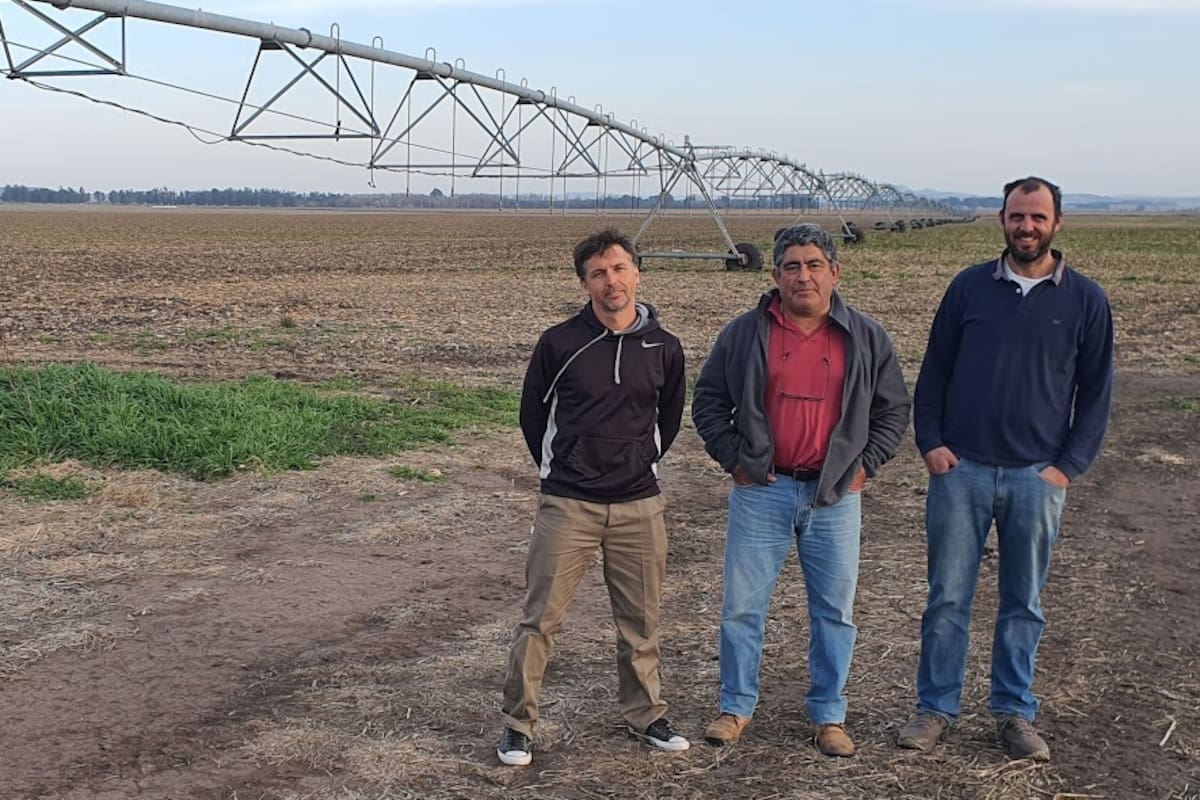 Juan Pablo Casabal, Juan González y Guillermo Sojo, integrantes de la empresa