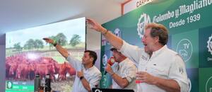 Se venderán 10.000 cabezas de ganado en un remate que reunirá a Banco Provincia, Colombo y Magliano y Expoagro