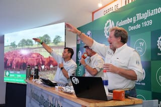 El Banco Provincia, Colombo y Magliano y Expoagro organizan un remate televisado en Bahía Blanca