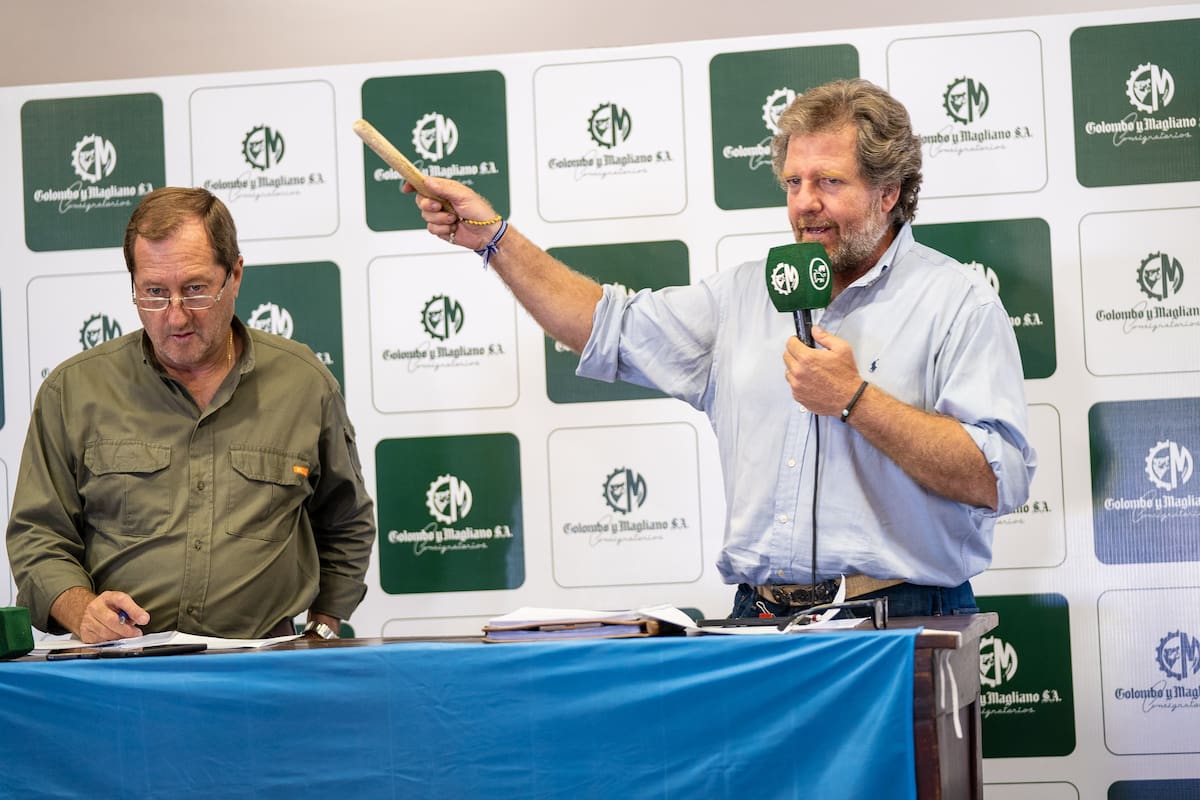 Juan Pedro Colombo en pleno remate