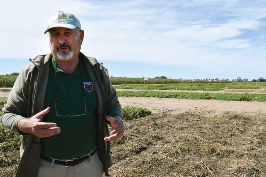 De Córdoba al mundo: una visión que impulsa la exportación del maní argentino