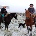 La nieve sorprendió al campo en un momento decisivo