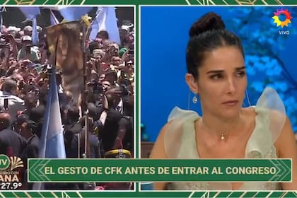 Juana Viale reaccionó al gesto que tuvo Cristina Kirchner en el ingreso al Congreso de la Nación