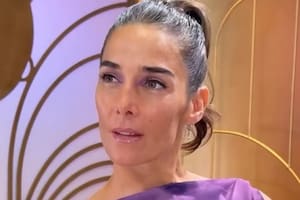 Juana Viale usó un vestido violeta con pollera plato plisada soley que deslumbró a sus seguidores