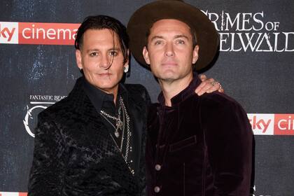 Jude Law apoya a Warner en su decisión de dejar fuera de Animales fantásticos a Johnny Depp