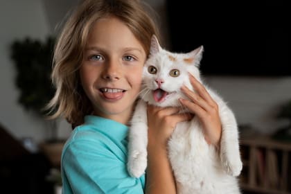 Jugar con los gatos implica moverse, correr y ejercitarse para los más chicos