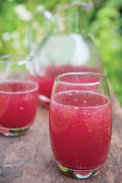 Jugo concentrado de ciruelas: una fuente de enregía.