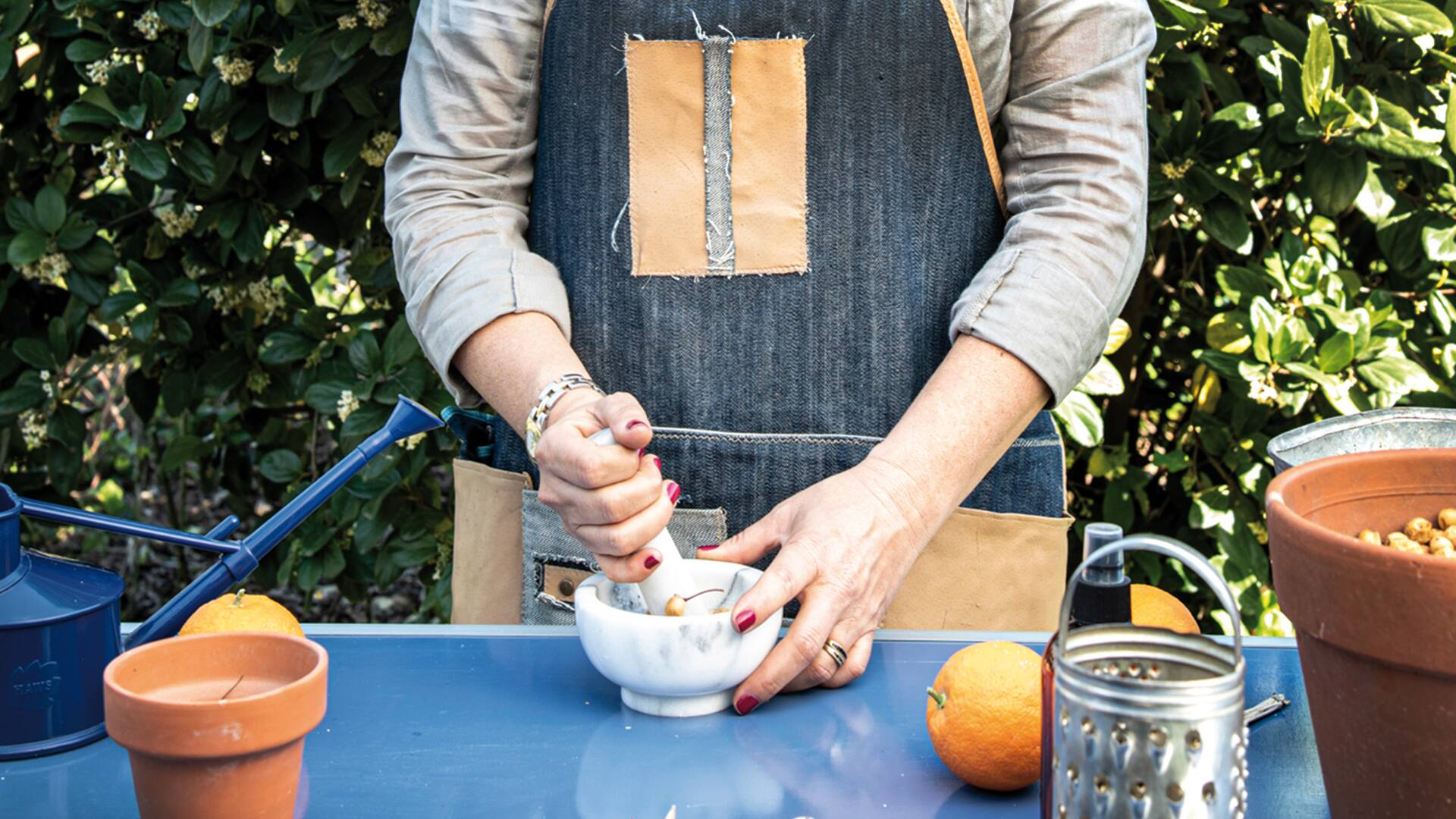 Sofía Diharce, técnica en jardinería y paisajista, comparte en esta nota recetas naturales para cuidar las plantas.
