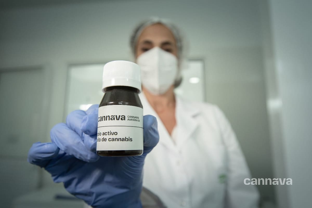 Jujuy produce el primer aceite de cannabis nacional