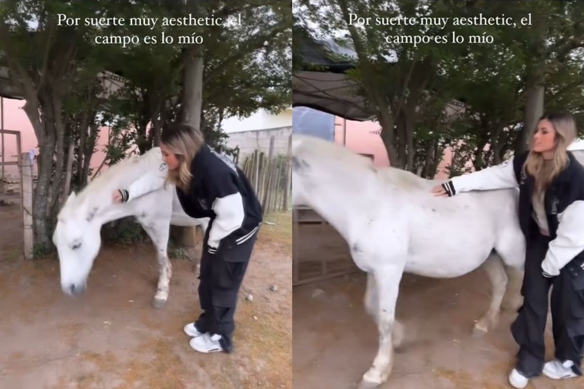 Juli Poggio sufrió un accidente con un potrillo en Tucumán y se volvió viral
