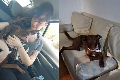 Julia encontró a su perrita Juana en medio de la autopista.