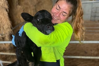 La santafesina que pasó de atender un kiosco a ordeñar 700 vacas en Australia