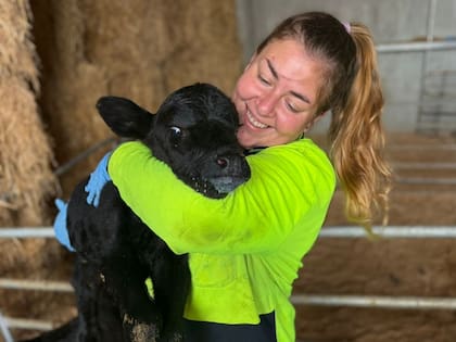 Julia trabaja en un tambo con unas 700 vacas