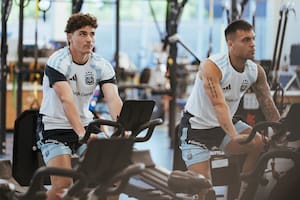Los números que respaldan a la Argentina, el rubro en el que gana España y la pelea entre Julián y Lautaro