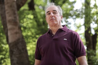 El productor de olivos que encontró una solución para producir energía limpia
