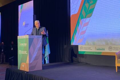 Julián Domínguez, ministro de Agricultura, durante su discurso en A Todo Trigo 2022