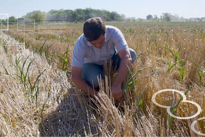 Julián y Lara son una pareja de productores que maneja una superficie de tierra mediana en la pampa húmeda