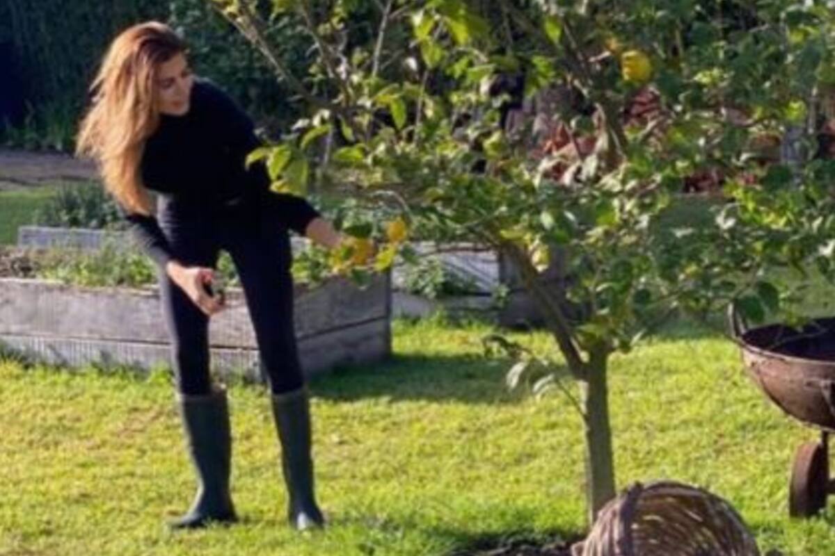 Juliana Awada disfrutó de la naturaleza en cuarentena y mostró a sus seguidores sus cosechas obtenidas