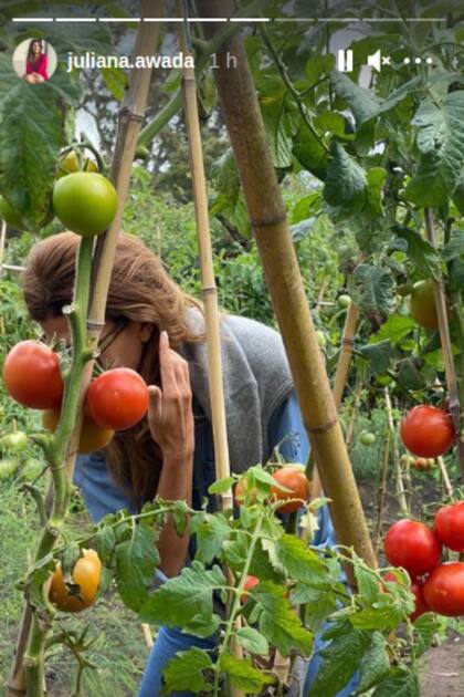 Juliana Awada pasó un día de campo en Tandil