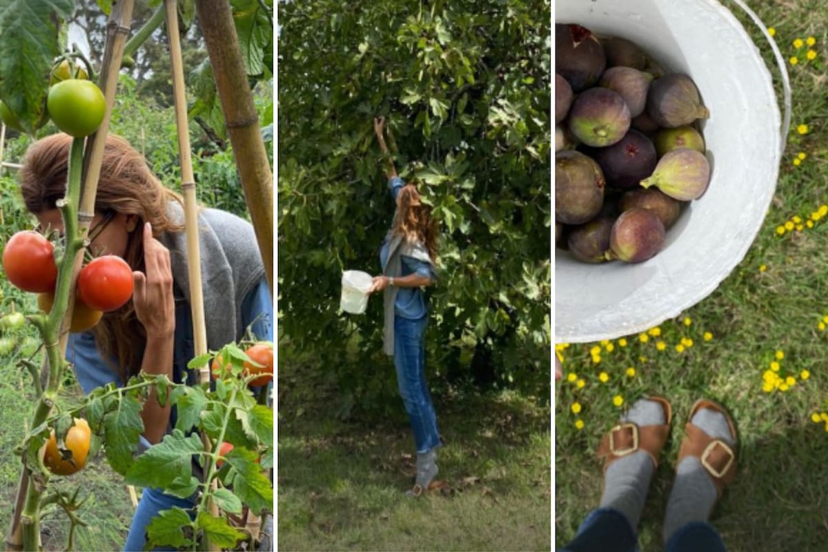Juliana Awada recibió el fin de semana largo en una estancia bonaerense y aprovechó para visitar su huerta