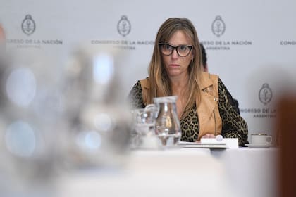 Juliana Di Tullio dijo que es "muy difícil" revertir a Cristina Kirchner por "el nivel de rigurosidad de sus datos"
