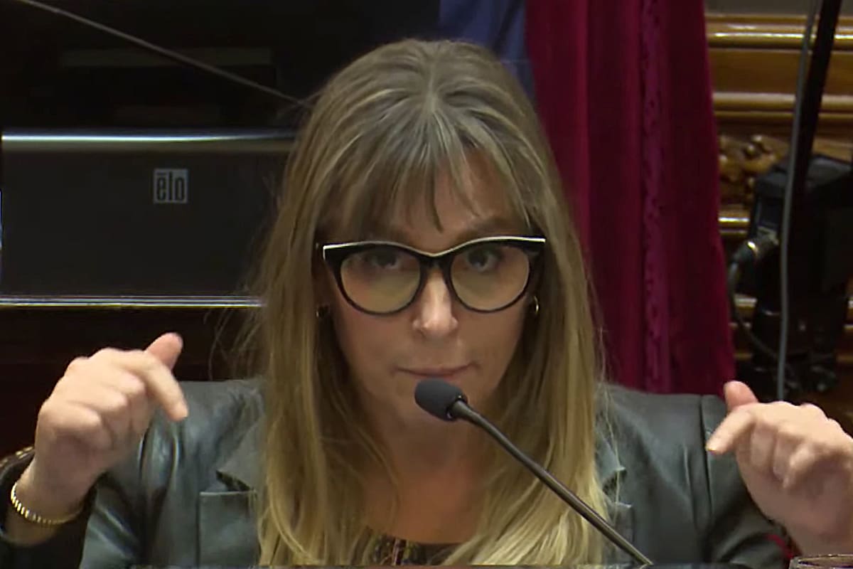 Juliana di Tullio: “Me gustaría saber por qué Alberto quiere ser reelecto”