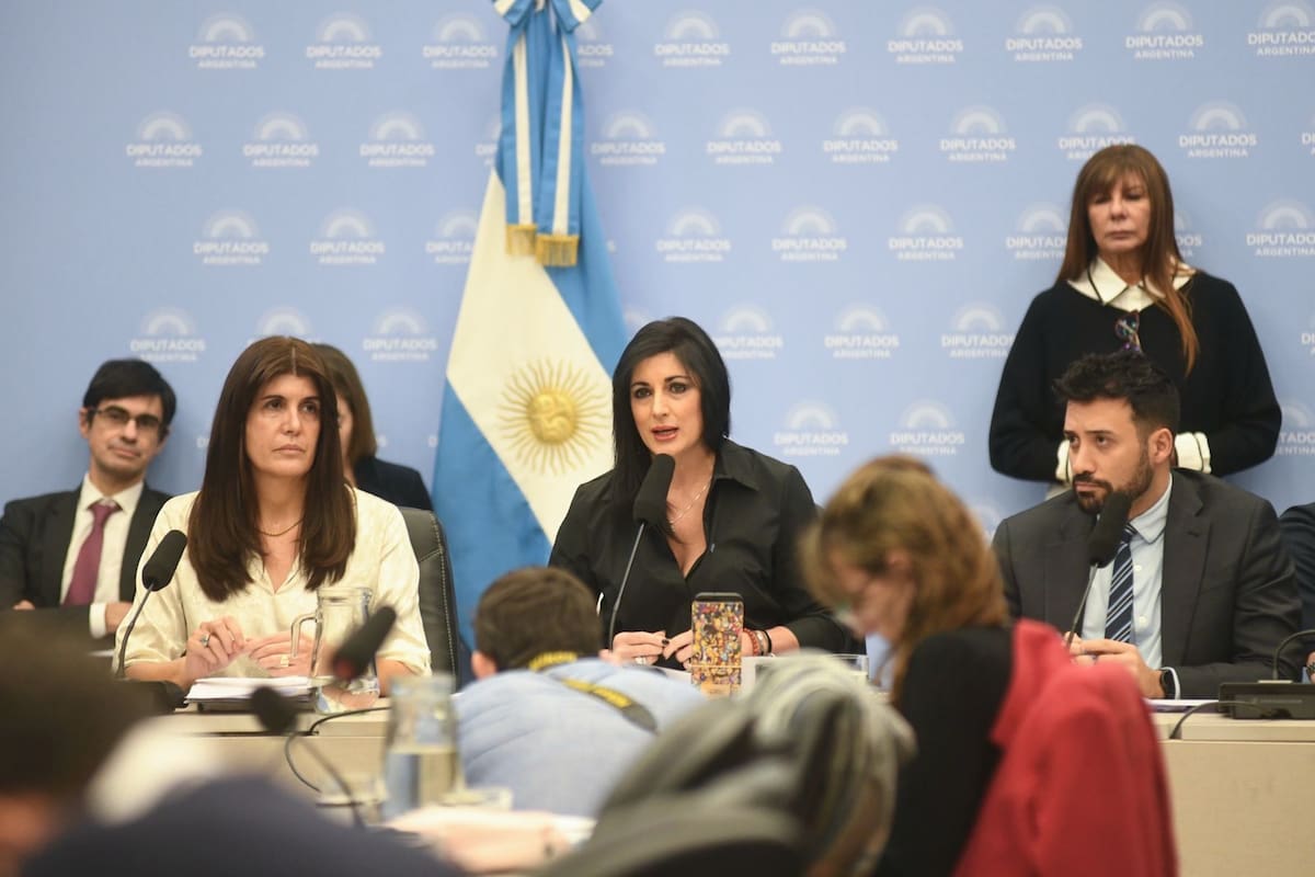 Juliana Santillán, presidenta de la Comisión de Relaciones Exteriores y Culto, junto a Alejandro Cacace, secretario de Desregulación