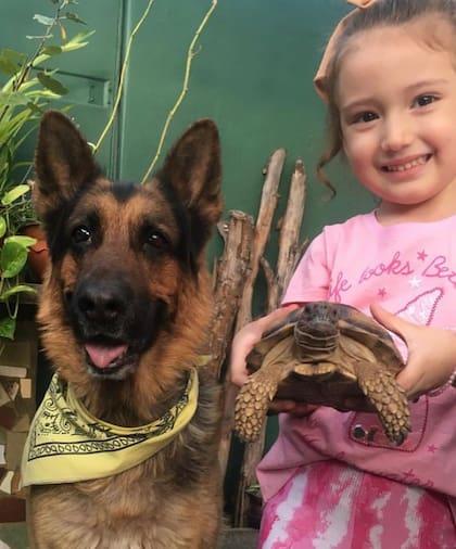 Julieta es fanática de los animales y quiere ser veterinaria. En su casa tiene dos perros, dos tortugas y una gatita