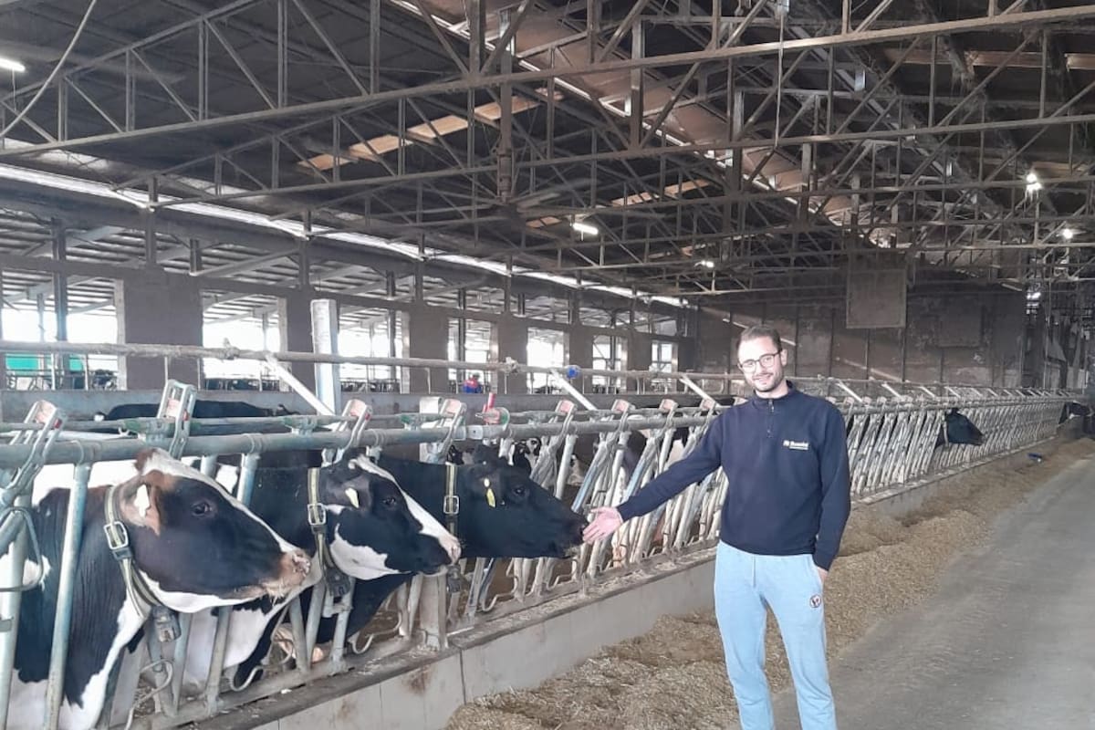 Julio Borga en el establecimiento lechero con las vacas confinadas que producen individualmente de 32 a 35 litros