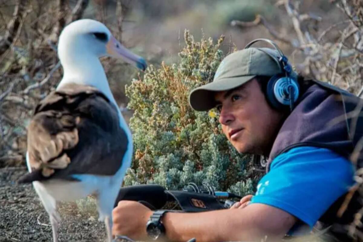 Julio Hernández Montoya trabaja con el Grupo de Ecología y Conservación de Islas, GECI, en la Isla Guadalupe