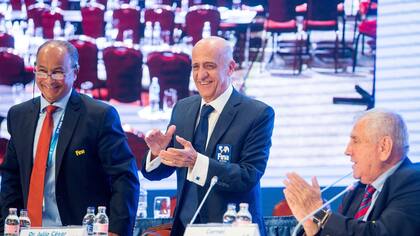 Julio Maglione fue reelecto como presidente de FINA
