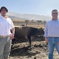 Una tradicional estancia del norte desarrolló un modelo imbatible de producción