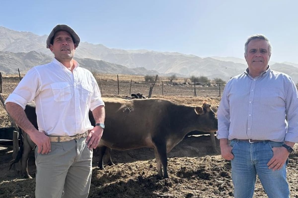 Julio Paz, gerente de producción de la empresa. y Emanuel López Lauría, responsable de la actividad lechera de ese campo