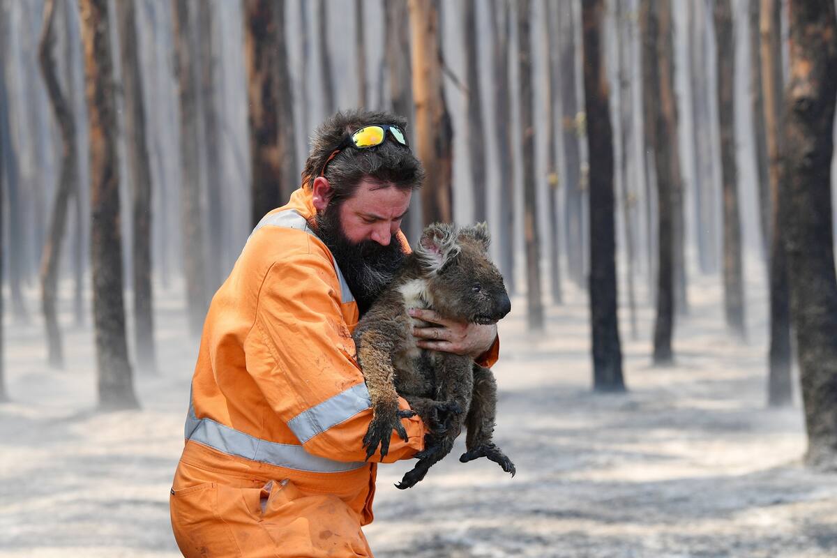 Julio ya había sido el mes más caliente en 140 años; el aumento está vinculado con un incremento en la concentración de CO2 en la atmósfera y augura más catástrofes naturales