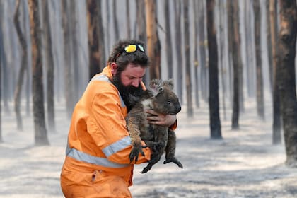 Julio ya había sido el mes más caliente en 140 años; el aumento está vinculado con un incremento en la concentración de CO2 en la atmósfera y augura más catástrofes naturales