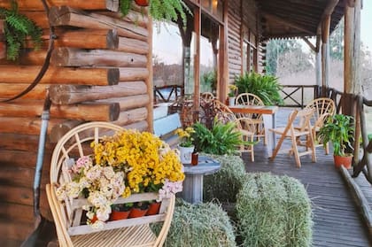 Junto al vivero, los hermanos inauguraron un café, rodeado por el campo.