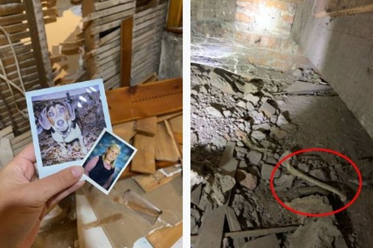 Junto con los huesos se encontraron fotos. Fuente: Jam Press/@flipthishouz