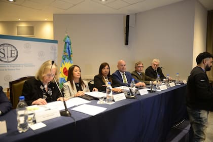 Jury a la jueza Julieta Makintach en el anexo de la Camara de Senadores de la Provincia en La Plata.