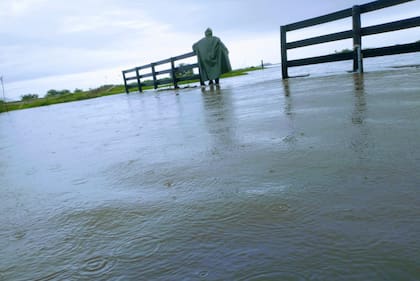 Justo García, titular de la Sociedad Rural de Gualeguay, subrayó que si bien en la ciudad el agua bajó, en los campos todo es más lento y, con más de 30 centímetros de agua, están saturados