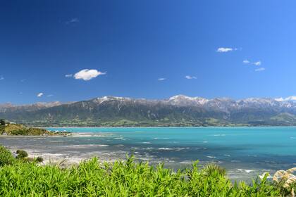Kaikoura y su agua celeste