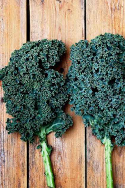 Kale: un súper alimento versátil y con muchos eneficios
