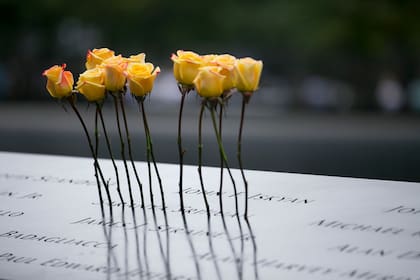 Kamala Harris, Joe Biden, Donald Trump y J. D. Vance participarán del acto homenaje a las víctimas del 11 de septiembre