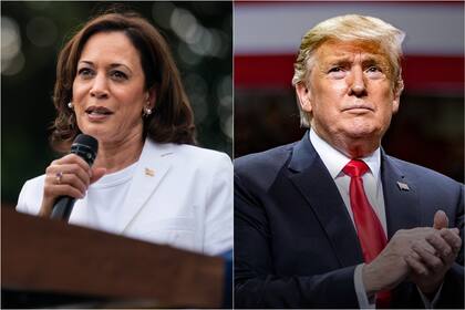 Kamala Harris y Donald Trump se enfrentarán en las urnas este 5 de noviembre de 2024